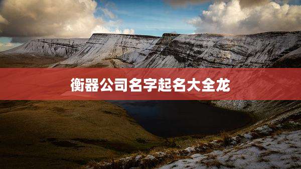 衡器公司名字起名大全龙