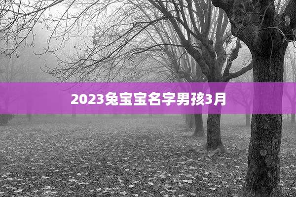2023兔宝宝名字男孩3月