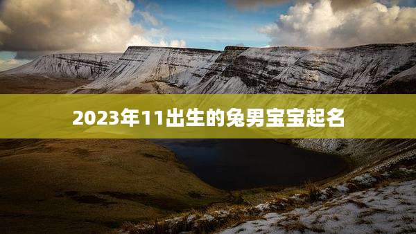 2023年11出生的兔男宝宝起名