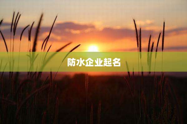 防水企业起名