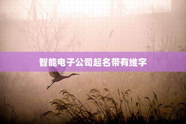 智能电子公司起名带有维字