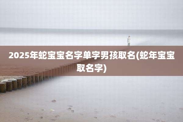 2025年蛇宝宝名字单字男孩取名(蛇年宝宝取名字)