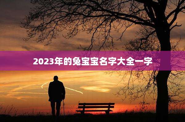 2023年的兔宝宝名字大全一字