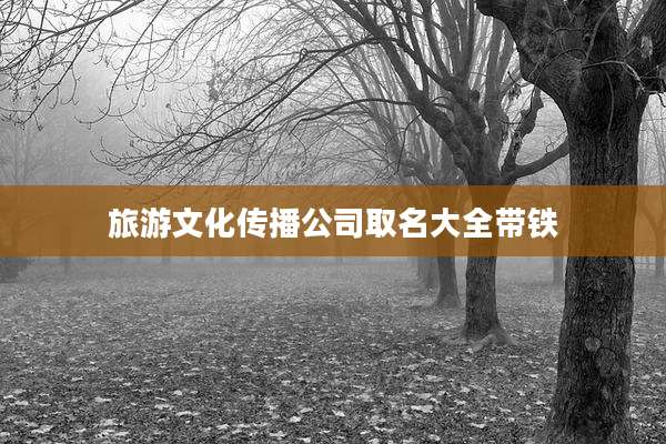 旅游文化传播公司取名大全带铁