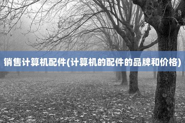 销售计算机配件(计算机的配件的品牌和价格)