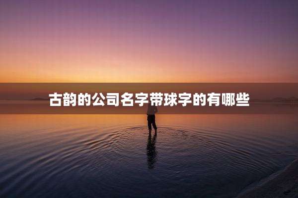 古韵的公司名字带球字的有哪些