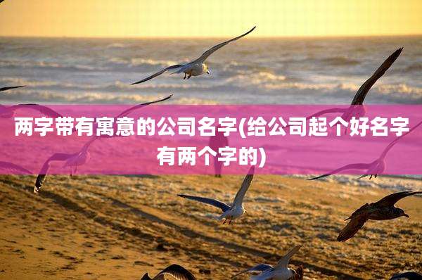 两字带有寓意的公司名字(给公司起个好名字有两个字的)