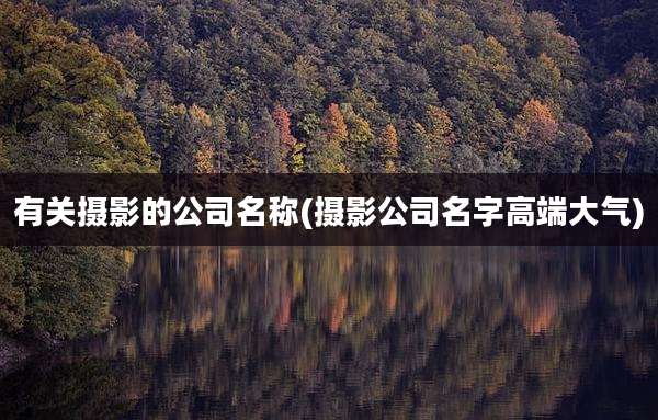 有关摄影的公司名称(摄影公司名字高端大气)