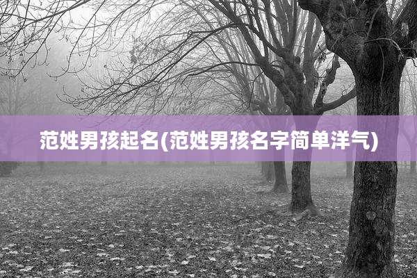 范姓男孩起名(范姓男孩名字简单洋气)