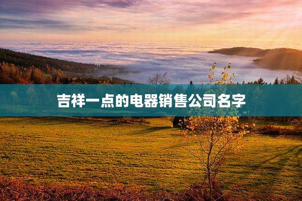 吉祥一点的电器销售公司名字