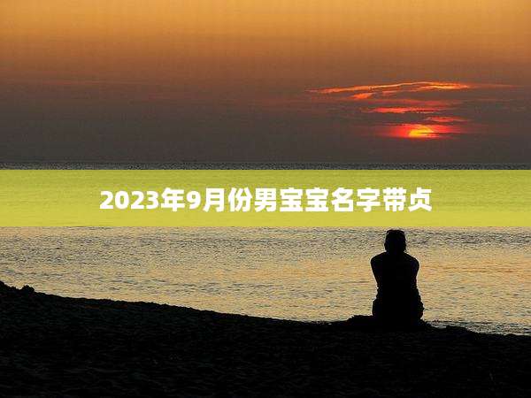 2023年9月份男宝宝名字带贞