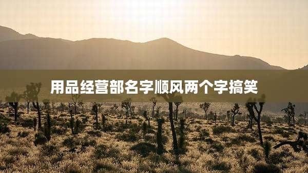用品经营部名字顺风两个字搞笑