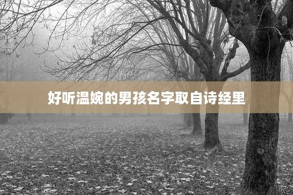 好听温婉的男孩名字取自诗经里