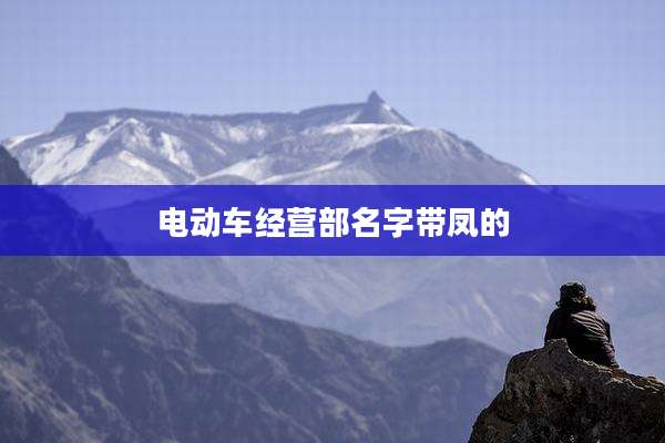 电动车经营部名字带凤的