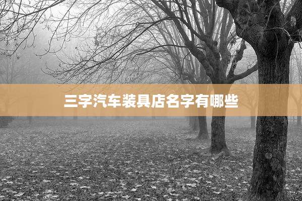 三字汽车装具店名字有哪些