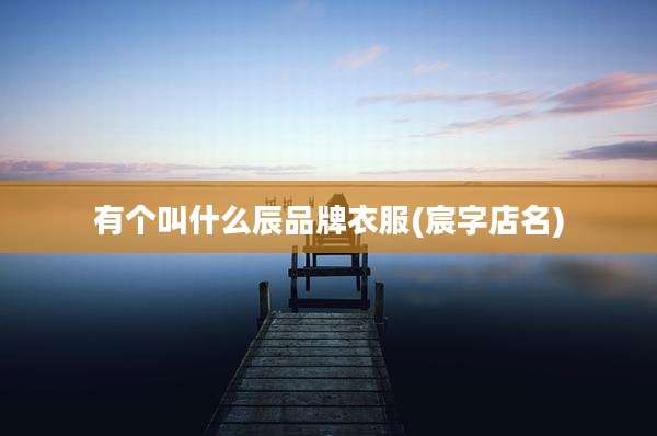 有个叫什么辰品牌衣服(宸字店名)