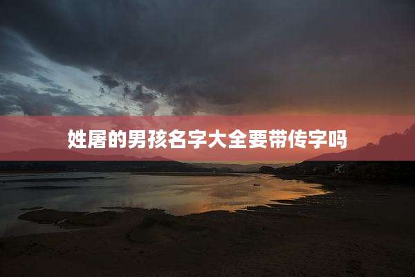 姓屠的男孩名字大全要带传字吗