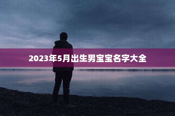 2023年5月出生男宝宝名字大全