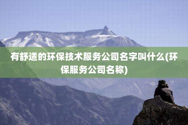 有舒适的环保技术服务公司名字叫什么(环保服务公司名称)