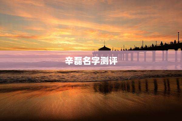 辛磊名字测评