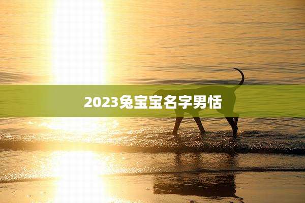 2023兔宝宝名字男恬