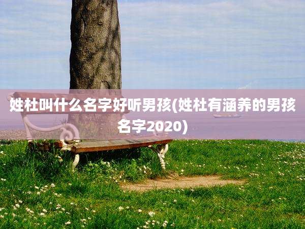 姓杜叫什么名字好听男孩(姓杜有涵养的男孩名字2020)