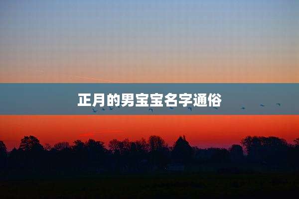 正月的男宝宝名字通俗