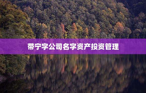 带宁字公司名字资产投资管理