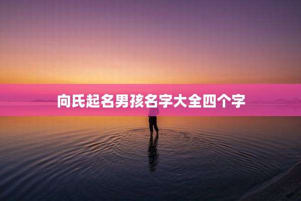 向氏起名男孩名字大全四个字