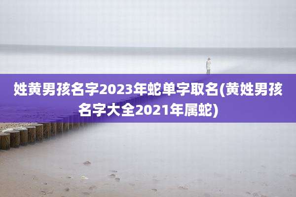 姓黄男孩名字2023年蛇单字取名(黄姓男孩名字大全2021年属蛇)