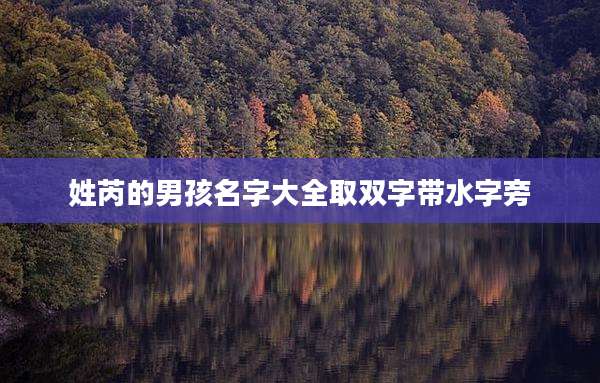姓芮的男孩名字大全取双字带水字旁
