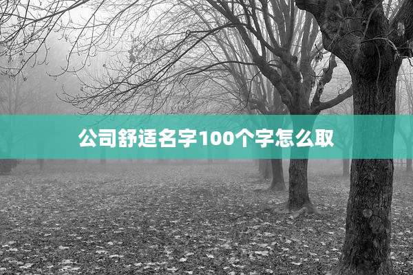公司舒适名字100个字怎么取