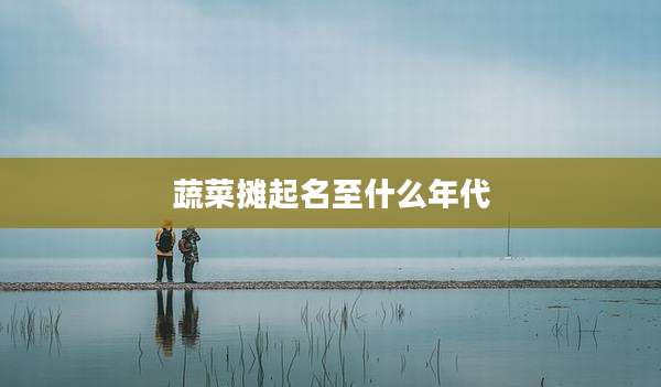 蔬菜摊起名至什么年代