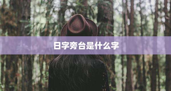 日字旁台是什么字