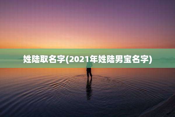 姓陆取名字(2021年姓陆男宝名字)