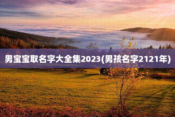 男宝宝取名字大全集2023(男孩名字2121年)