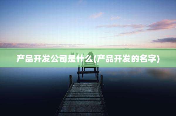 产品开发公司是什么(产品开发的名字)