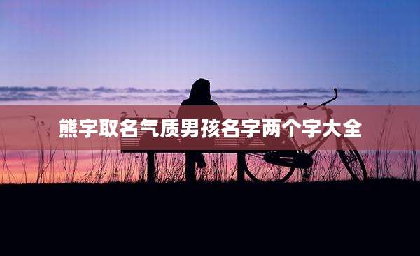 熊字取名气质男孩名字两个字大全