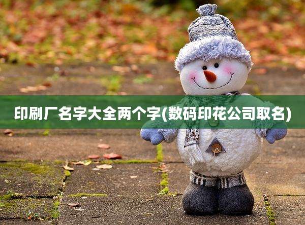 印刷厂名字大全两个字(数码印花公司取名)