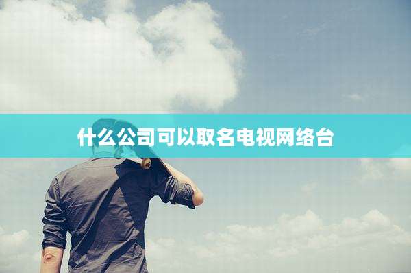 什么公司可以取名电视网络台