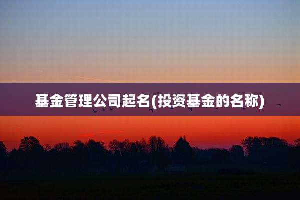 基金管理公司起名(投资基金的名称)