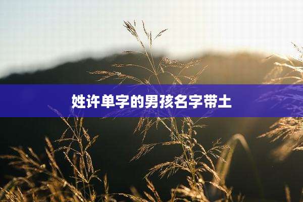 姓许单字的男孩名字带土