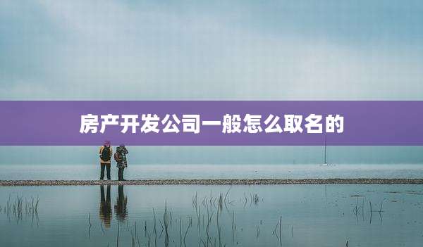 房产开发公司一般怎么取名的