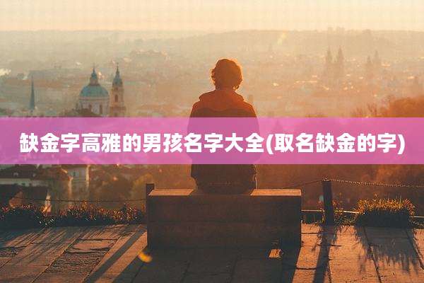 缺金字高雅的男孩名字大全(取名缺金的字)