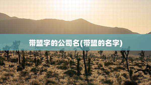 带盟字的公司名(带盟的名字)