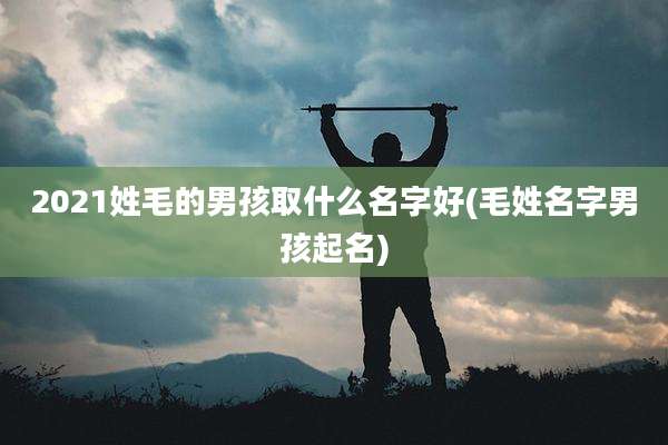 2021姓毛的男孩取什么名字好(毛姓名字男孩起名)