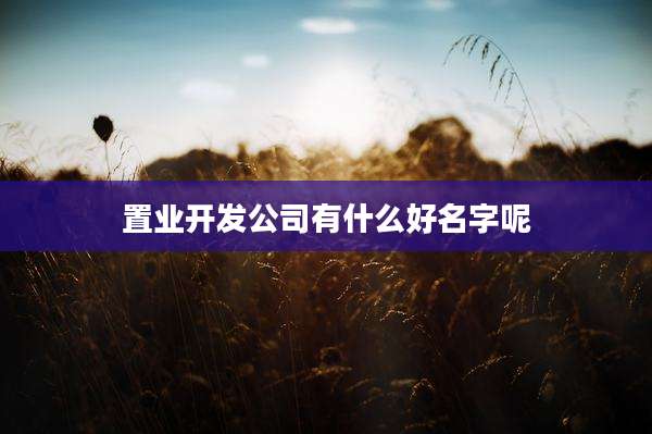 置业开发公司有什么好名字呢