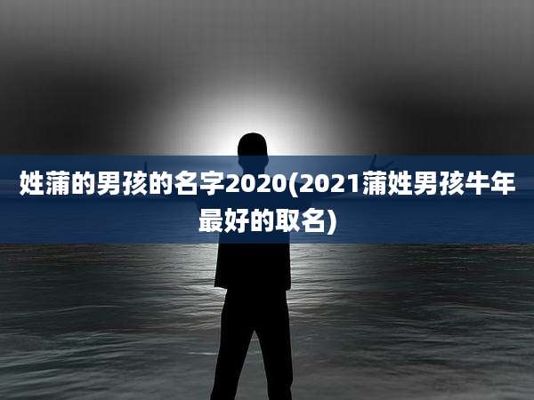 姓蒲的男孩的名字2020(2021蒲姓男孩牛年最好的取名)