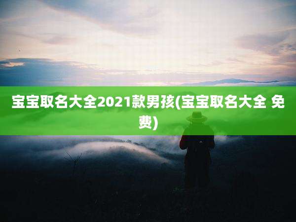 宝宝取名大全2021款男孩(宝宝取名大全 免费)