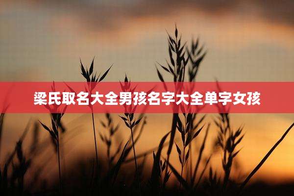 梁氏取名大全男孩名字大全单字女孩